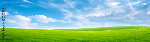 Banner, green grass field and blue sky with clouds. Organic background. Copy space. Generative AI