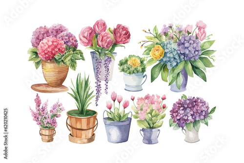 Set of images for the flower shop in watercolor. Vector illustration design.