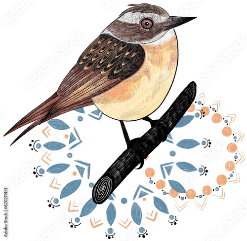 Niedliches Braunkehlchen Vogel des Jahres 2023 photo