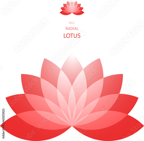Red Radial Lotus