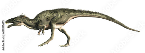 Masiakasaurus  a medium sized theropod of Cretaceous era Madagascar  depicted in profile  isolated on a white background. 3D Rendering 