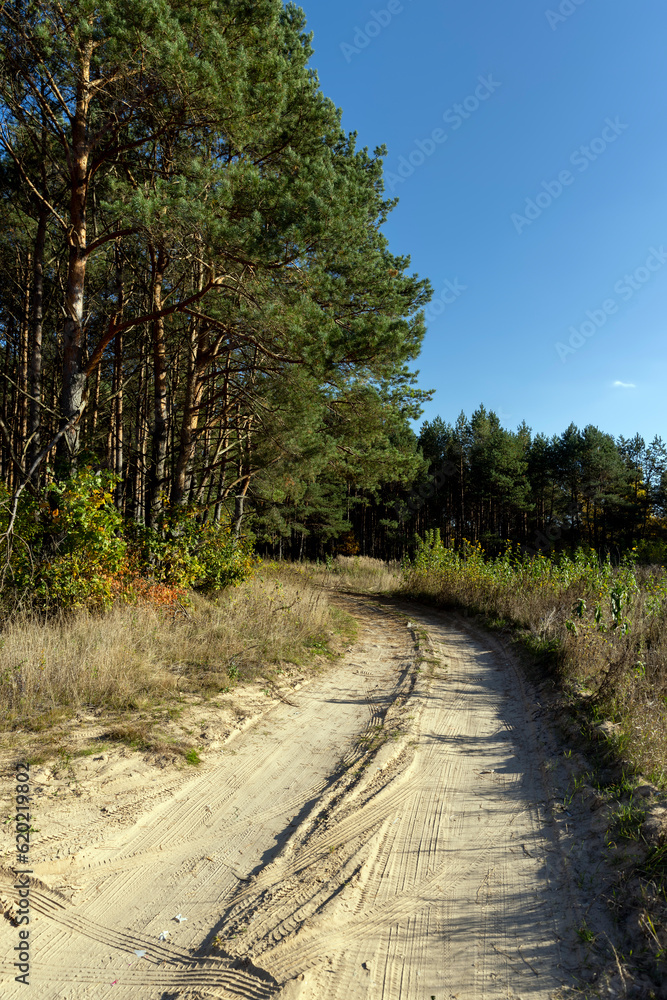 A garbage polluted highway in rural areas A garbage polluted highway in rural areas
