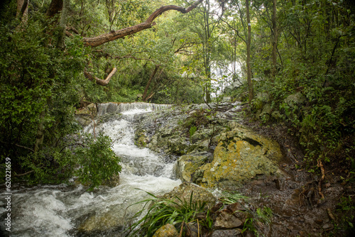 waterfall in the forest