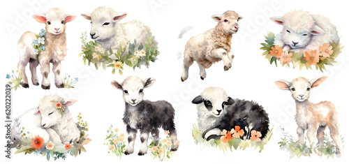 Set of cute white Lambs, transparent background, generated ai