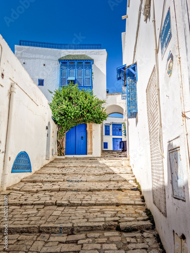 The village of Sidi Bou Said, Carthage, Tunisia photo