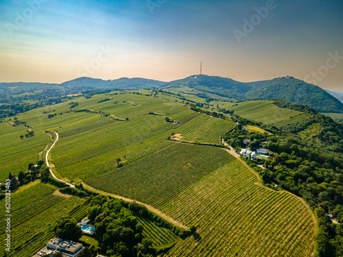 An aerial panorama of Vienna Nussdorf with vineyards rows with view on Danube