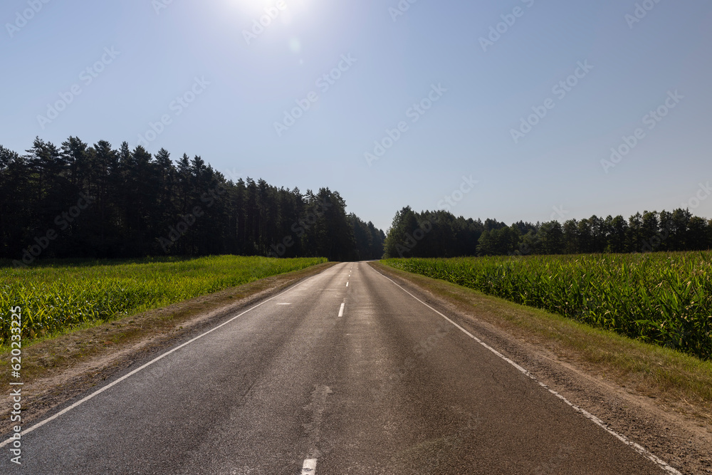 Paved road through the forest Paved road through the forest
