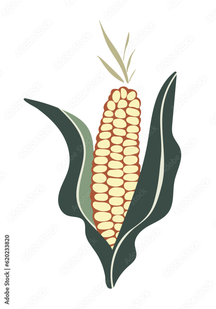 corn on a cob isolated flat vector cartoon illustration corn on a cob isolated flat vector cartoon illustration