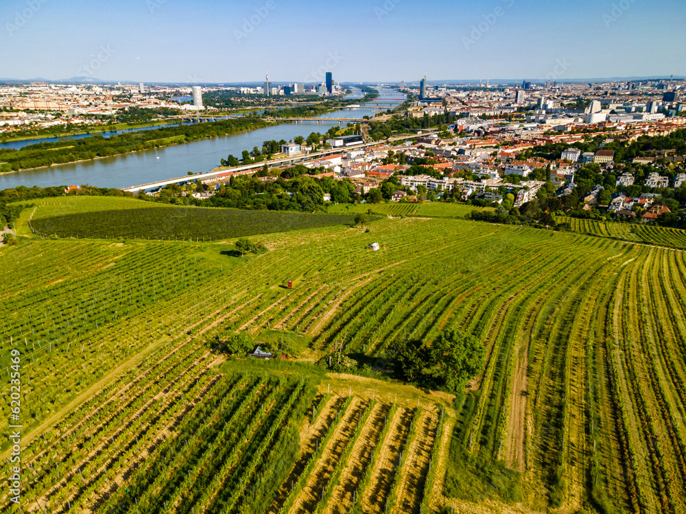 An aerial panorama of Vienna Nussdorf with vineyards rows with view on Danube