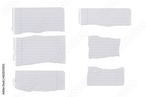 Trozos de hojas de cuaderno blanco rayado recortadas sobre fondo blanco, recurso gráfico photo