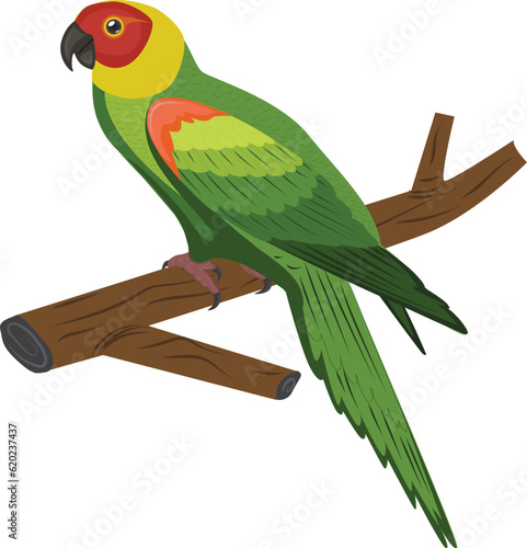 parrot on a branch