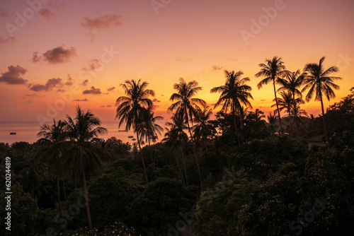 Awe pink and orange romantic saturated tropical sunset landscape with palm trees silhouettes and colorful sky