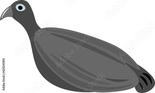 Funny jackdaw without paws, children's drawing