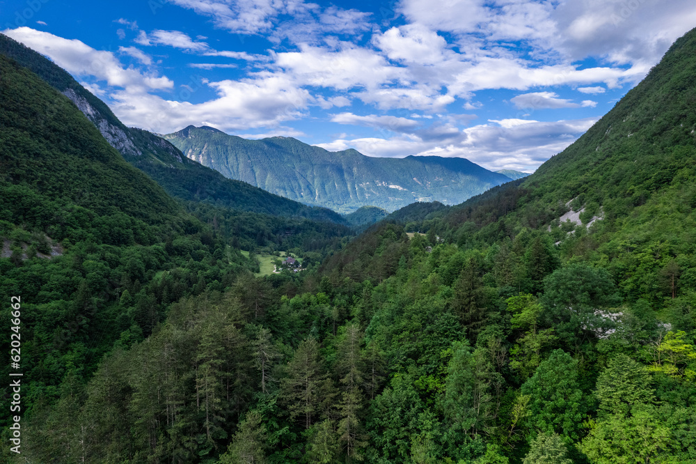 Alpine landscape with green forest in Predil Pass, Italy. Aerial drone view