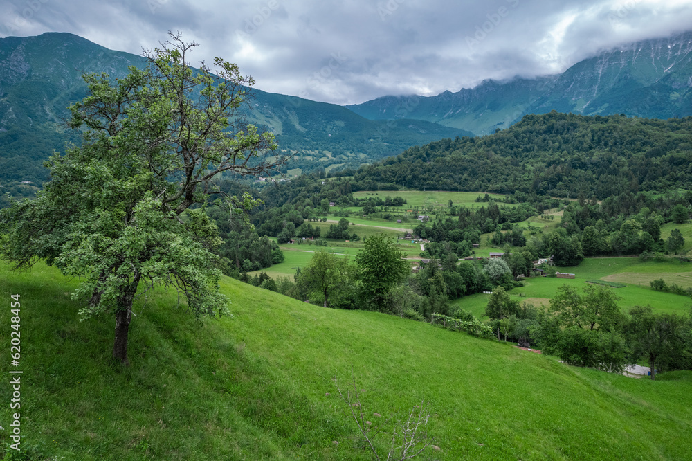 Drežnica village, Slovenia. Drone aerial view. Picturesque rural green landscape Drežnica village, Slovenia. Drone aerial view. Picturesque rural green landscape