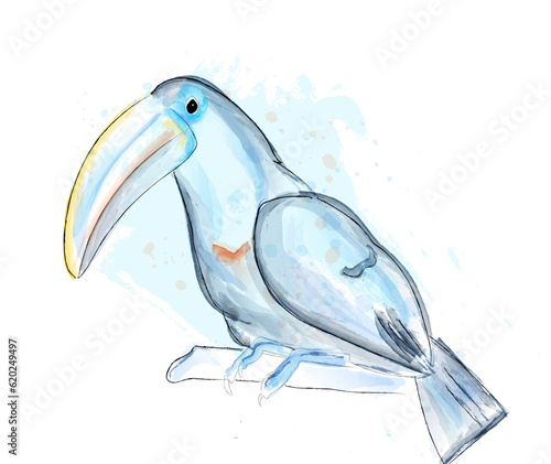 Tucano bird vector watercolor. blue poster