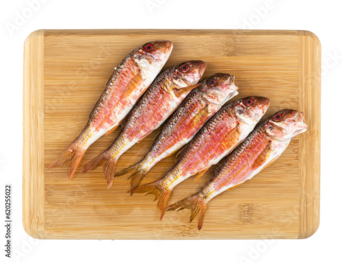 raw red mullet on a board