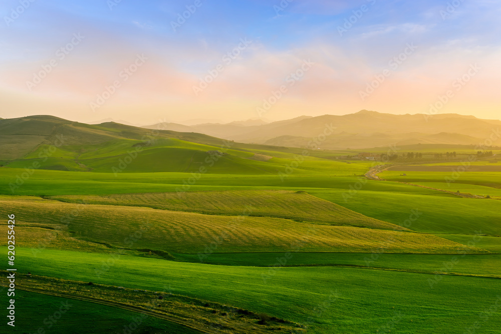 beautiful green valley with green fields with green spring grass with nive hills and mountains and scrnic colorful cloudy sunset on background of landscape