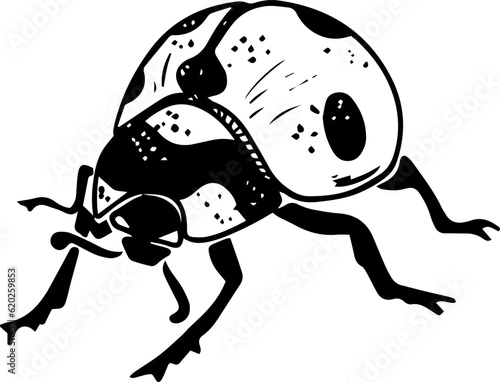 Single sketch style crawling side view ladybug black lineart isolated on white background
