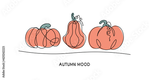 line drawing autumn, pumpkin harvest, zucchini, patisson, doodle, fresh vegetable abstract logo, set