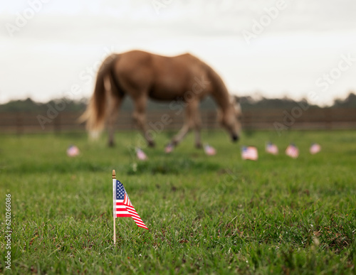 Small American flag with horse in the background. 