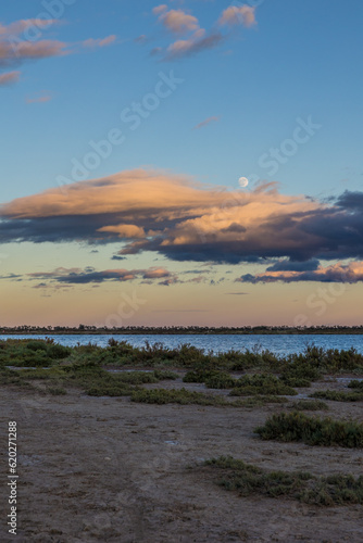 Lever de pleine lune au coucher du soleil sur le Bois des Aresquiers et l Etang d Ingril