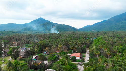 Wallpaper Mural Aerial drone top view Tropical palm forest in Indonesia. Dynamic shot of a village in a tropical palm forest. Dynamic shot of houses and a tropical palm forest in the mountains. Torontodigital.ca