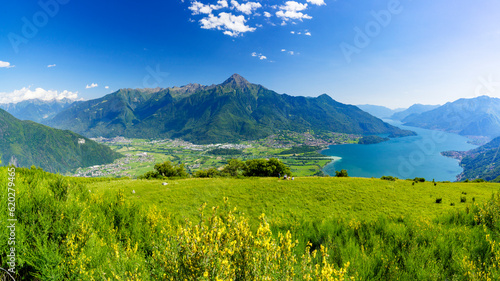 Panoramic of Monte Legnone and Alto Lario from flowering meadows above Lake Como, Bugiallo, Como province, Lombardy, Italian Lakes photo
