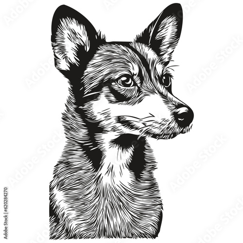 Rat Terrier dog hand drawn logo drawing black and white line art pets illustration realistic breed pet