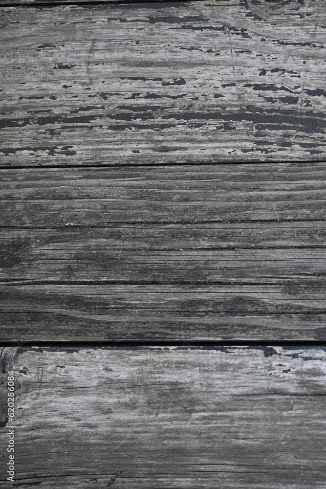 Fototapeta premium Grey vintage old wood texture as background, old grey vintage texture of wooden boards 