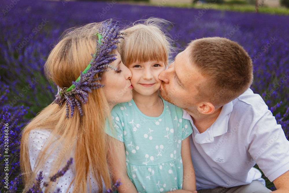 Fototapeta premium In a field of lavender, you will find a happy family kissing their little daughter