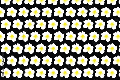 white color flower patten background design .
