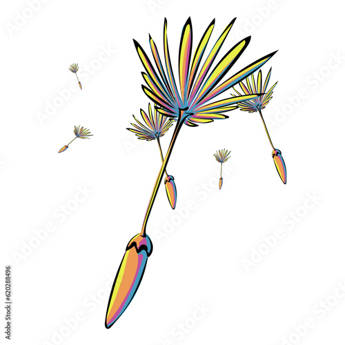 Pusteblume