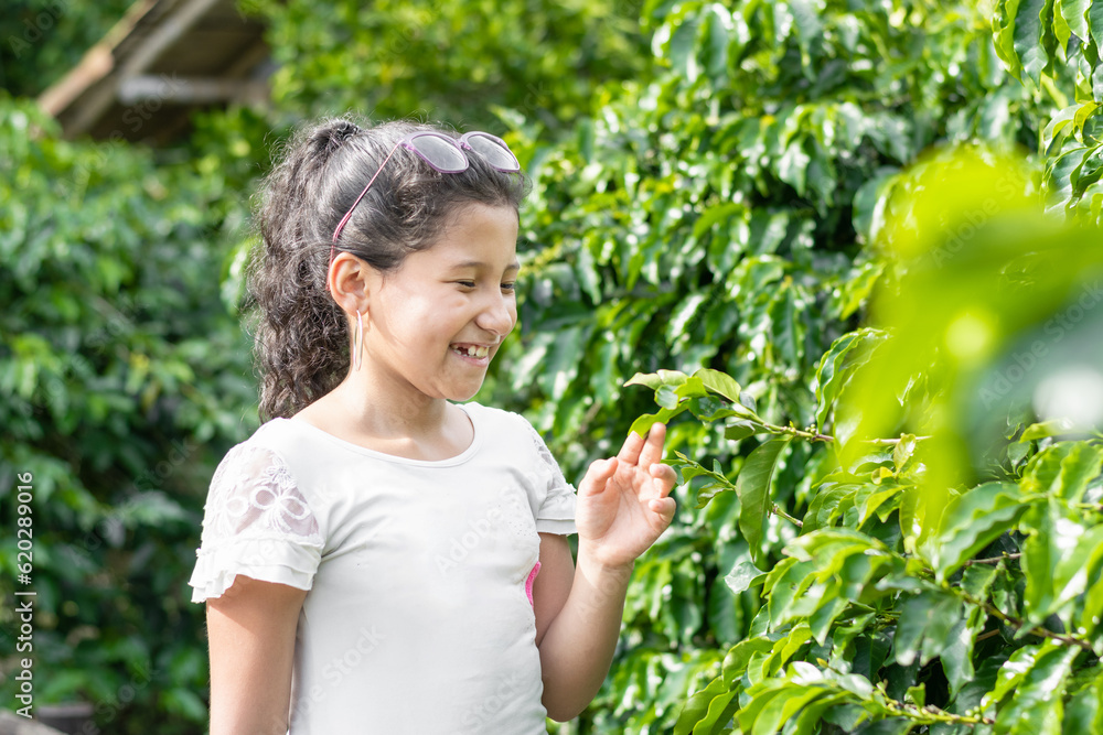 A very happy and smiling little brunette girl holding an Arabica coffee leaf in her hand, while learning and educating herself about this plant A very happy and smiling little brunette girl holding an Arabica coffee leaf in her hand, while learning and educating herself about this plant