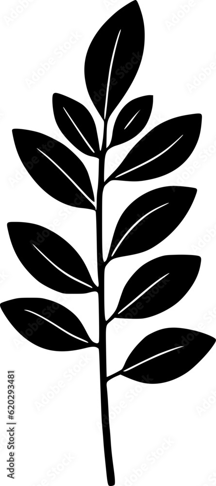 Leaf Illustration Leaf Illustration