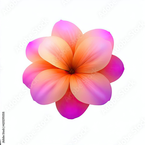 Flor, Rosa, color, naranja, Flor ,hojas verdes, violeta, rojo, white, background © FREELAN SHAH SULTAN