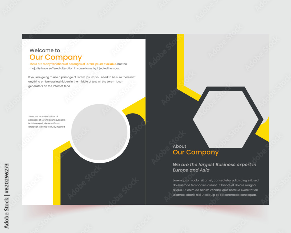 company brochure template, vector, Brochure template layout design ...