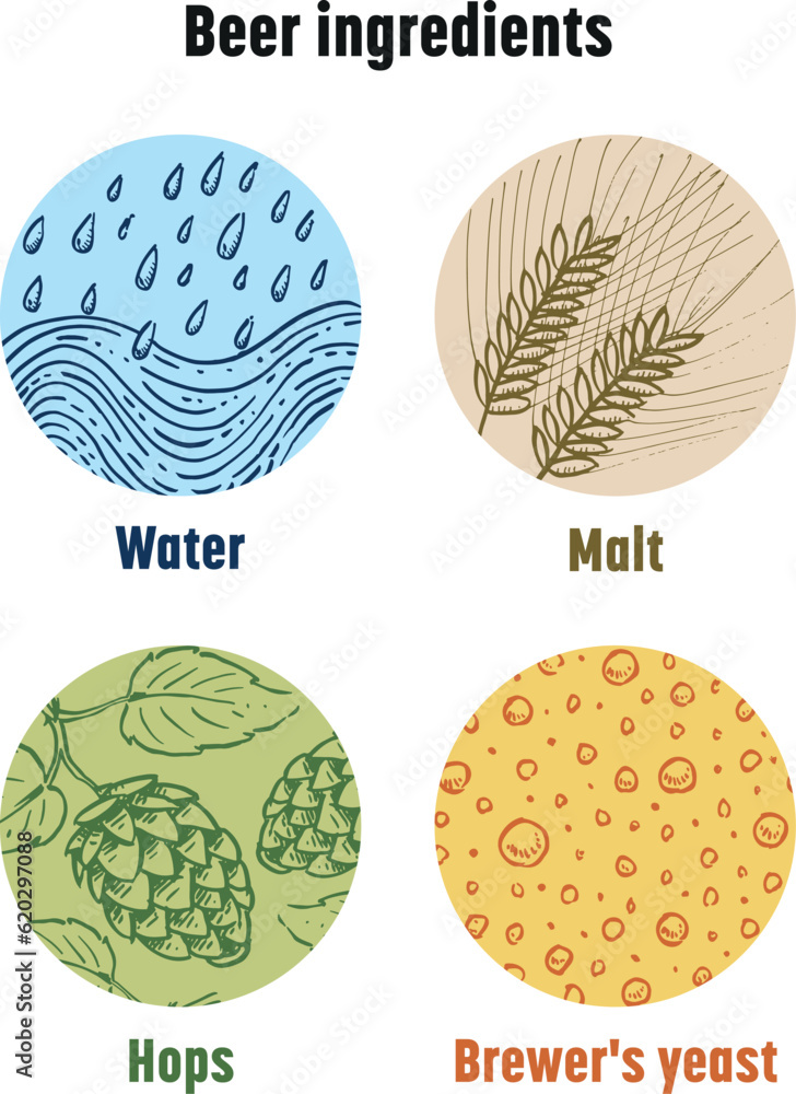Ingredients for making beer color vector