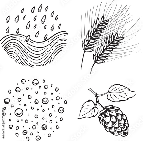 Ingredients for making beer vector