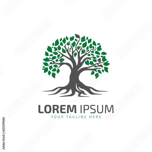 Tree icon vector silhouette isolated tree logo colorful on white background.