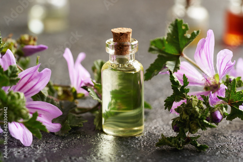 A transparent bottle of mallow essential oil with blooming malva sylvestris twigs