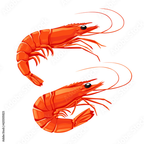 Shrimp icon. Boiled Prawn in shell on a white background. Realistic vector illustration	