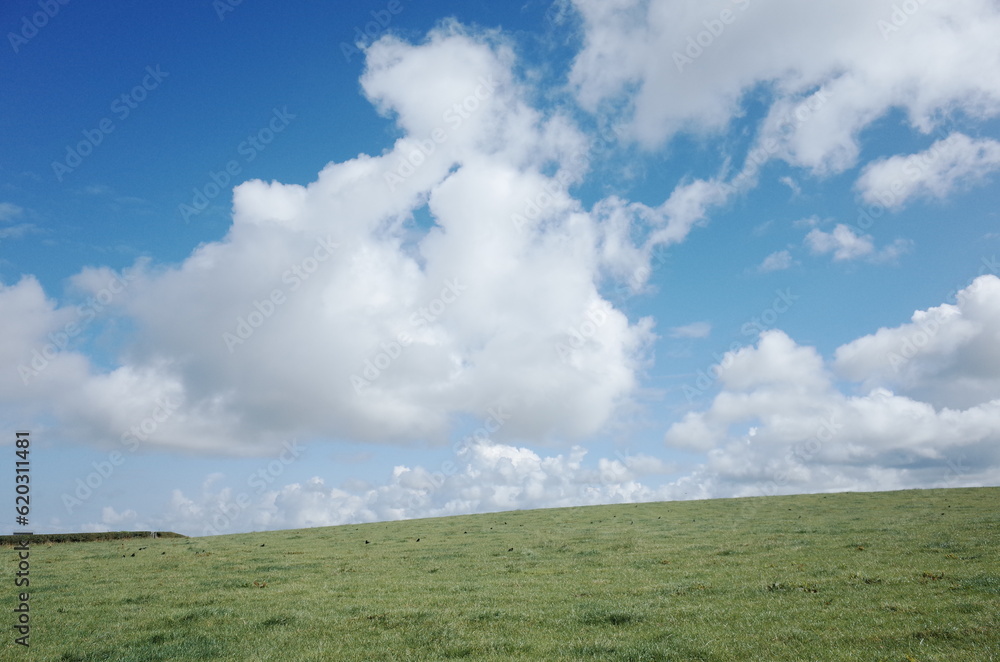 clouds over the field