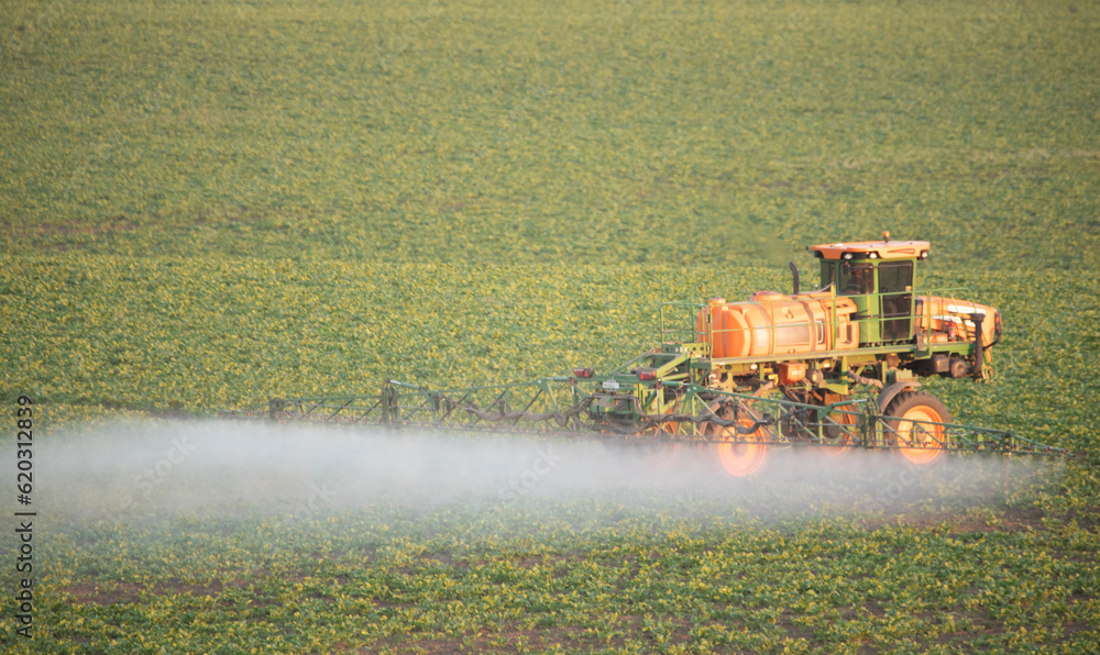 Fototapeta premium Spraying Progress: Witnessing the Tractor's Impact on Field Growth
