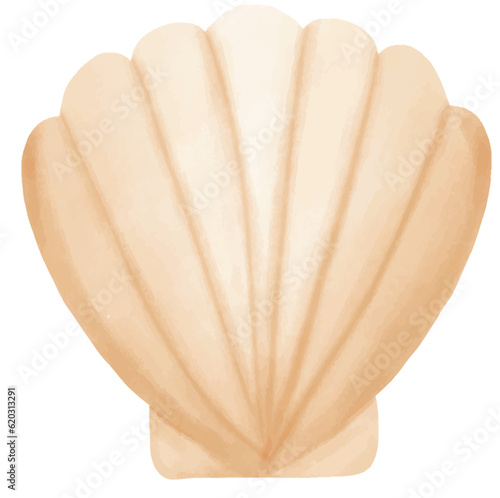 scallop