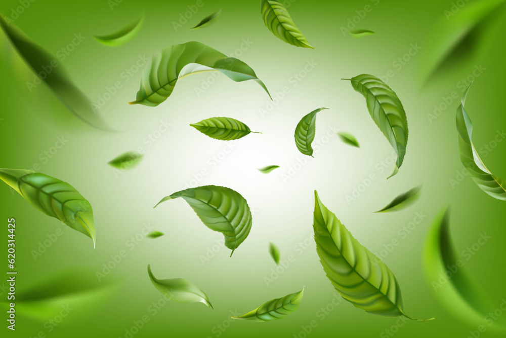 Vector realistic illustration with green tea leaves in motion on a green background. Element for design, advertising, packaging of tea products - obrazy, fototapety, plakaty 