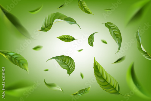 Vector realistic illustration with green tea leaves in motion on a green background. Element for design, advertising, packaging of tea products
