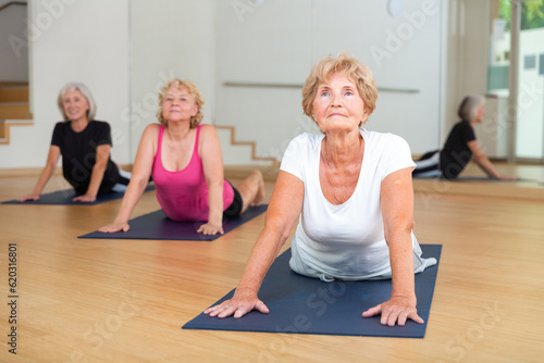 Sporty elderly woman practicing yoga positions during group training in fitness center, performing stretching asana Urdhva Mukha Shvanasana .