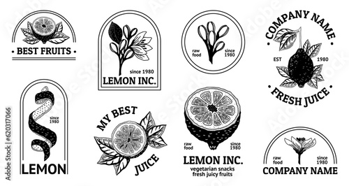 Vászonkép Lemon logo