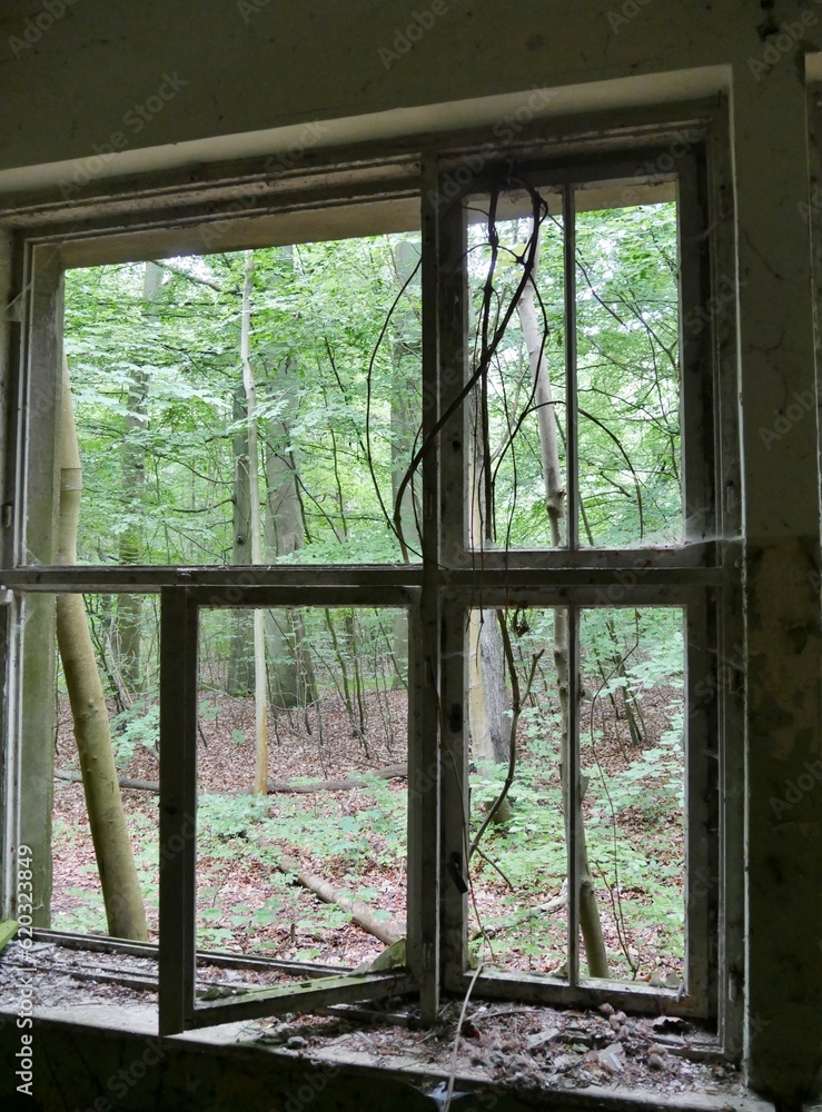 Ruine einer ehemligen NVA-Kaserne Dwasieden Rügen Ruine einer ehemligen NVA-Kaserne Dwasieden Rügen